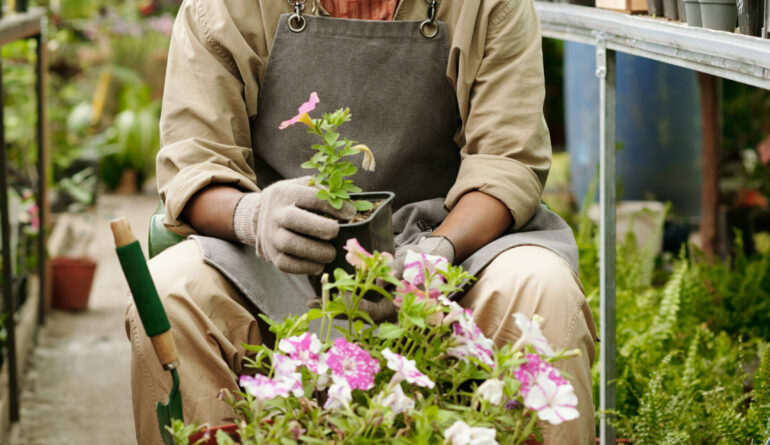 Portrait of African young gardener smiling at camera while sitting in flower shop and making flowerbed in big pot from small pink flowers