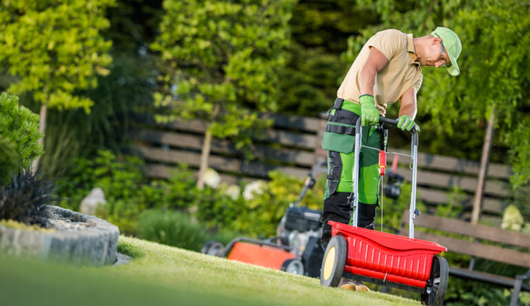 Man Spreading Fertilizer on Green Lawn