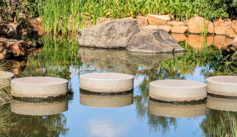 stepping-stone-crossing-on-the-water-river-pond-2025-01-09-12-30-31-utc